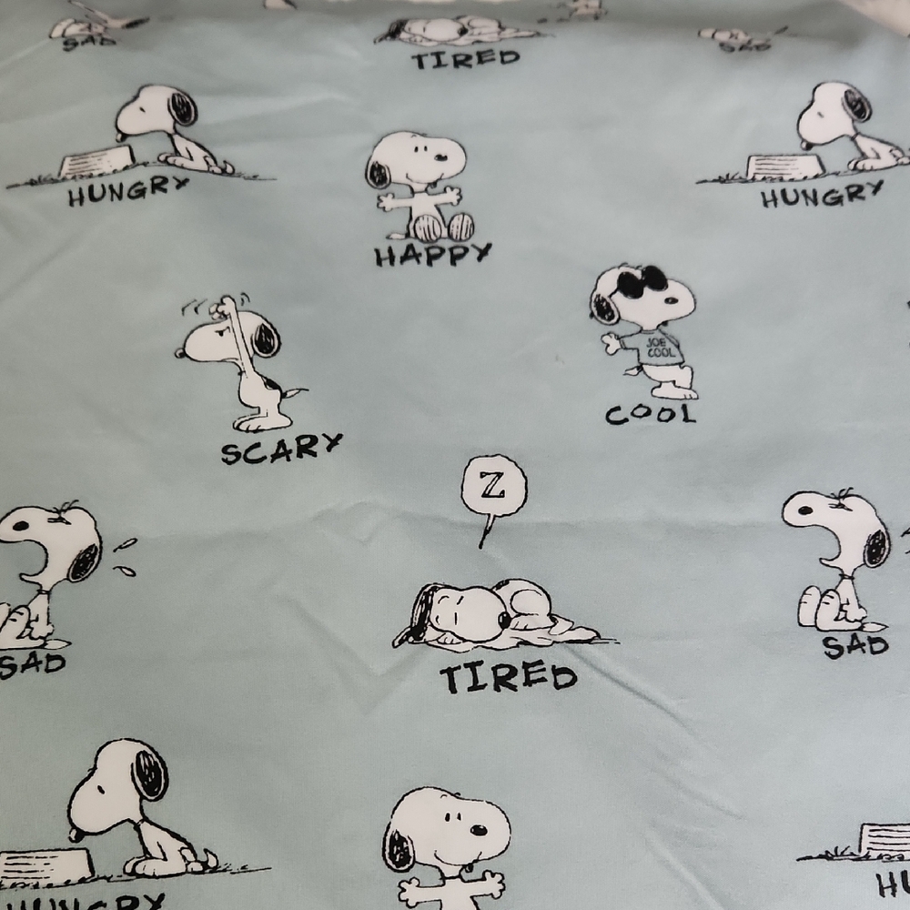 Peanuts Snoopy Bedding Sheets Queen Size Mint Green With Black & White